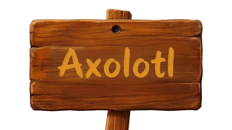 The Axolotl